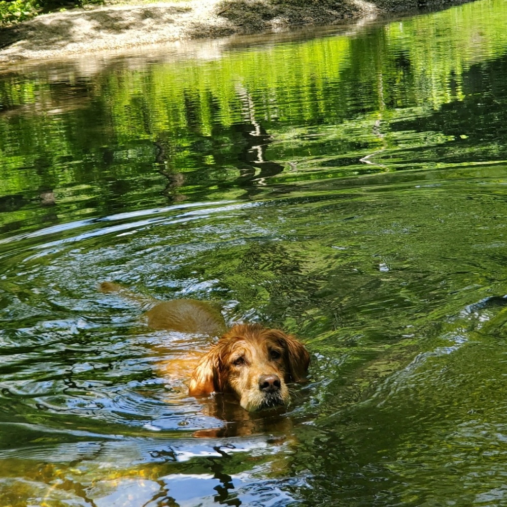 Meet your Posher, Cerise